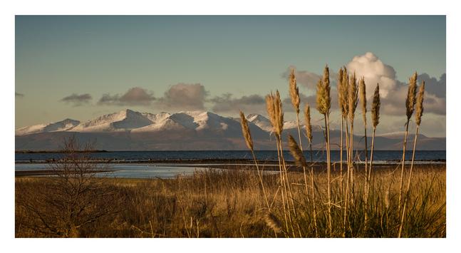 A view of the Isle of Arran taken from Ardrossan. There are a few yellow-ish coloured long grasses in the foreground with the hills of Arran with a light dusting of snow in the background. The sky is mostly clear with a few fluffy clouds.