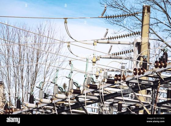 Photo of transformers and power lines from an electric power substation, with a tree in the background