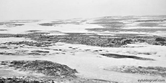 a stark snowy landscape that almost looks otherworldly in black and white