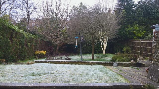 #TheSquirrels don't like #TheSlinky...