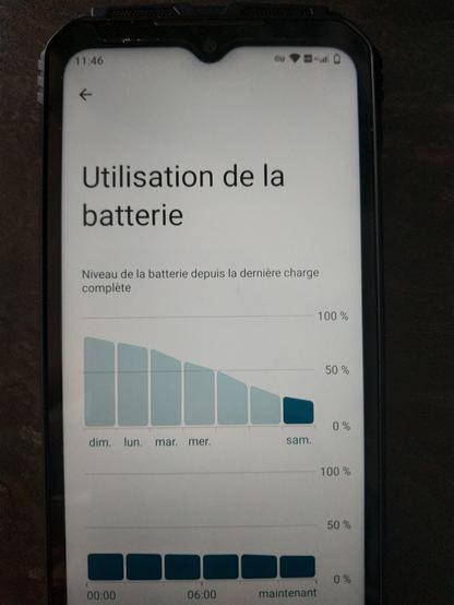 Capture d'écran des paramètres d'un smartphone : utilisation de la batterie. Dernière charge complète : dimanche 29 décembre 2024. Pourcentage de charge restante le 4 janvier 2025 : 20%