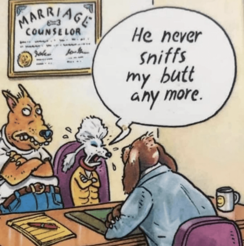 He Never Sniffs My Butt Anymore