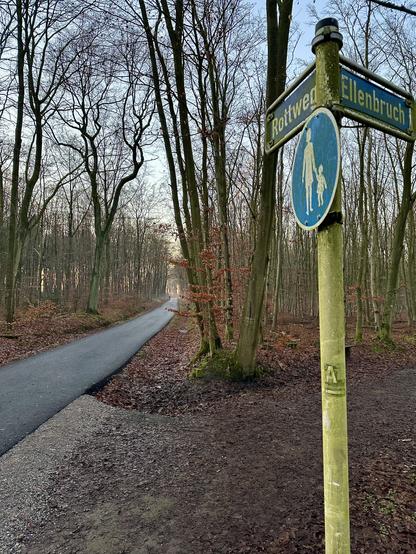 Waldweg im Winter mit neuem Straßenbelag. Rechts sieht man ein Straßenschild. Es zweigt ein Fußgängerweg ab.