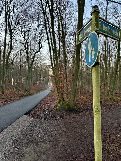 Waldweg im Winter mit neuem Straßenbelag. Rechts sieht man ein Straßenschild. Es zweigt ein Fußgängerweg ab.