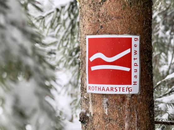 Wandern am Rothaarsteig im Sauerland. Foto im Winter am Kyrillpfad in Schmallenberg-Schanze. Liegt als RAW vor.