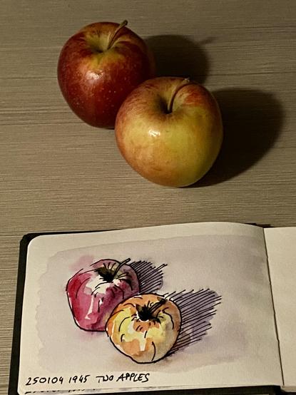 A sketchbook with a coloured sketch of two apples and in the background the real apples.