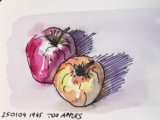 A coloured sketch of two apples.