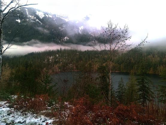A low fog hangs over a mountain lake, a dusting of snow on the shoreline. A tall, bare tree in the foreground is silhouetted against the water.