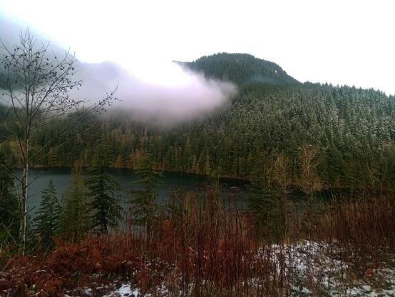 A low fog hangs over a pine forested lake. The shore in the foreground is a mix of brown grass, bare trees, and a dusting of snow. The opposite shore is densely forested and rises to a peak that is shrouded in fog. The sky is a solid white.