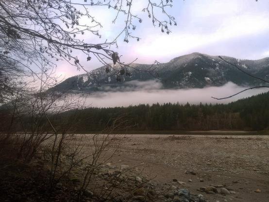 A wide, rocky riverbed stretches towards a tree-covered mountain. The mountain is topped with snow-dusted peaks and a thick layer of fog obscures the trees at the mountain's base. The foreground consists of bare branches and muted colored foliage. The sky above is pale blue and white.