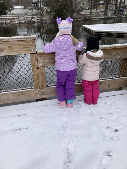 Two little girls looking at a river from a snowy bridge.