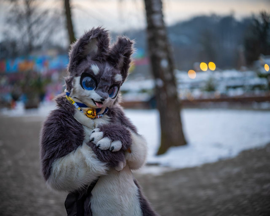 Das Bild zeigt einen Kemonofursuit im Vordergrund einer winterlichen Landschaft in einem Freizeitpark, im Hintergrund sind Schnee, ein Karussell und ein paar Lichter zu erkennen.