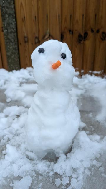 A wonky looking snowman with a piece of carrot for a nose and blue berries for eyes.