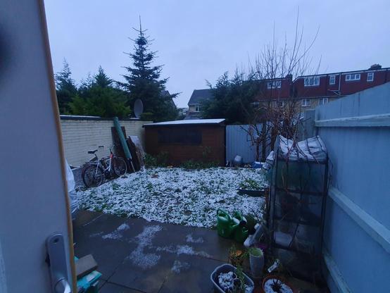 Our back garden shed and grass with a smattering of snow.