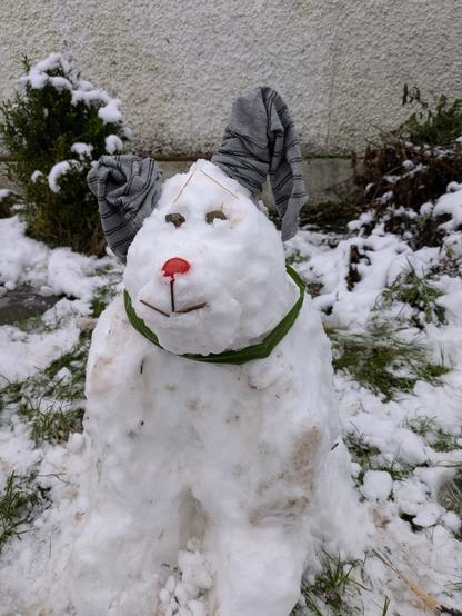 A sitting dog made out of slightly dirty snow. It is quite chunky and very friendly looking and has a red nose and a collar. Its ears are grey socks with black stripes, one up and one down, flopping over at the ends. It is on rough snowy grass and there is a light grey rendered wall behind.