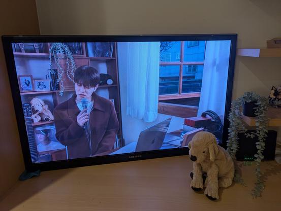 Daengmo puppy plush toy and artificial plant next to a TV playing a video of Seungmin singing in front of the same toy and plant
