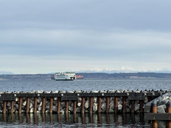 Ferry and container ship looking like they’re about to sail into each other’s water space. 
A breakwater in the foreground and a wooded island in the background frame this gray-blue ocean scene