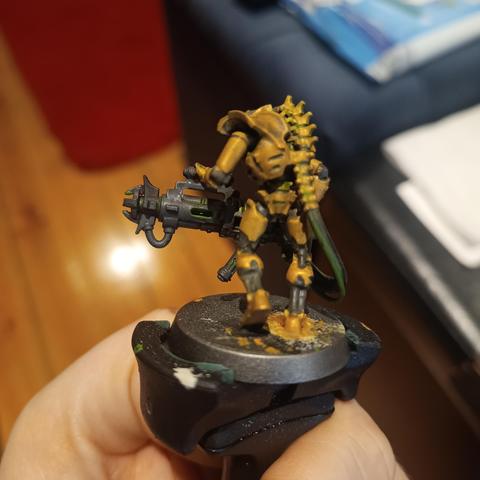 Rear view of the Necron Immortal.