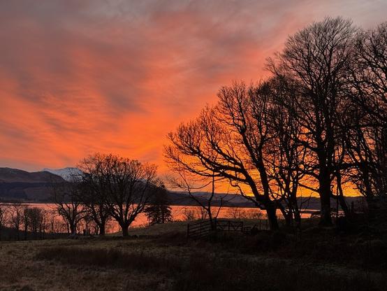 Silhouetted trees with a backdrop of red sunset. Water and mountains further in the distance .