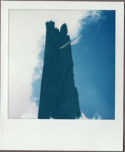 Polaroid of a tall, burnt tree trunk against a half-cloud, half-blue sky, looking almost as if it's torn through the image.