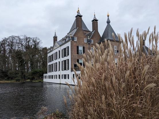 Corner view of Kasteel Renswoude, yellow brown reeds on the right frontside, partly covers the castle view. On the left side part of the pond and moat.