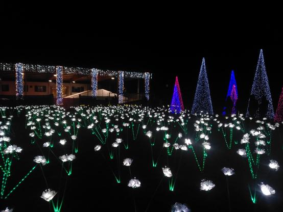 Paesaggio con fiori finti illuminati,  alberi illuminati con luci di Natale ed edificio anch'esso illuminato con luci di Natale. Creano un paesaggio magico e natalizio