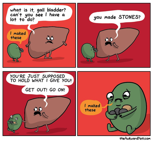 Awkward yeti comic with a cartoon version of a liver looking at a little gallbladder. Liver says “what is it glallbladder? I have a lot to do!” Goalless bladder says “ i maked these”. Panel 2 shows liver getting angry and saying “you made stones?!” Panel 3 has liver shouting “YOURE JUST SUPPOSED TO HOLD WHAT U GIVE YOU! GET OUT! GO ON” panel 4 shows just glallbladder, sat looking sadly at its stoned saying to itself “I maked these”