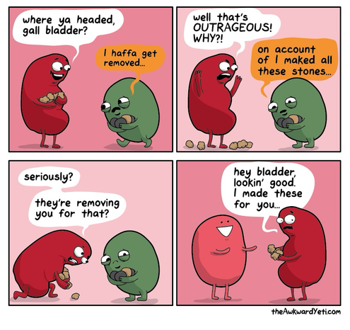 Panel 1 a cartoon Kidney smiles at gallbladder and says “where ya headed?” Gallbladder looks sad and says “I hafts get removed” panel 2 has kidney hold his arms up in shock, dropping some stones he’s carrying. It says that’s outrageous! Why?” Gallbladder answers “because I maked all these stones” panel 3 and kidney picks up its stones and says “seriously? They’re removing you for that’s?” Panel for and now it’s kidney smpeaking to a smiling bladder. Kidney says hey bladder, looking good. I made these for you. Kidney looks shifty af because it’s getting rid of these stones that get organs removed