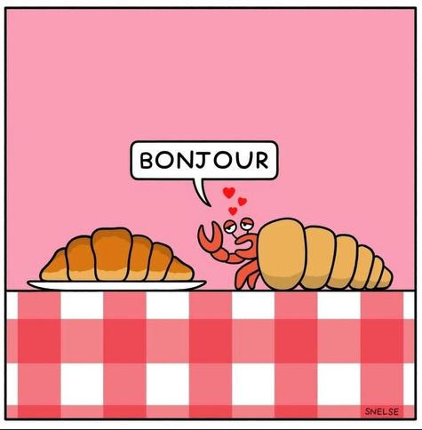 Cartoon. A simply drawn cartoon in one picture: a kitchen table with a red/white checkered tablecloth, on it a plate with a croissant on the left. On the right is a red hermit crab with its snail-like house. With its grasping pincers in the air, it looks at the croissant in love and says: "Bonjour". Its shell also looks like a croissant. Poor hermit crab in love ...