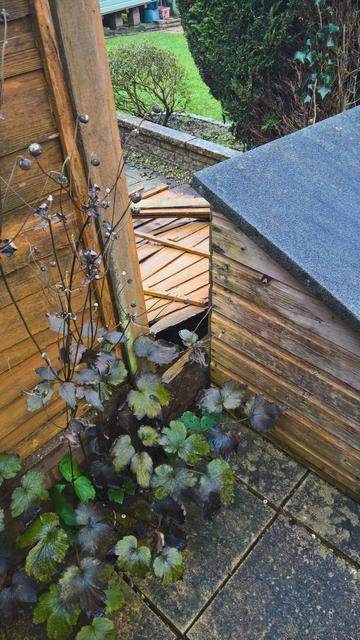 #FencePanelDown...