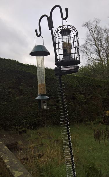 #Food for #TheLittleTweeters... #TheSquirrels #StillDontLike #TheSlinky...