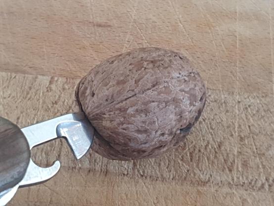 Eine Walnuss liegt ungeöffnet auf einem Schneidbrett aus Buche. Zwischen den Schalenhälften steckt der Dosenöffner eines Taschenmessers.