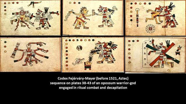 Composite image showing a six panel sequence from plates 38-43 of the Codex Fejérváry-Mayer (multicolor illuminated manuscript, before 1521, Aztec) of an opossum warrior-god engaged in ritual combat and decapitation of its opponent. The fifth frame may depict a head-shrinking ceremony; the final frame depicts the opossum ascending the path to the star-sky.