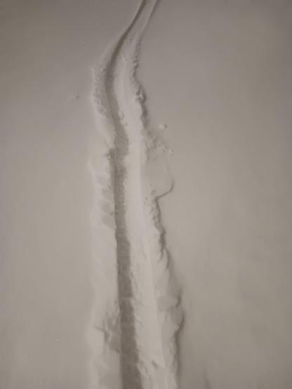 A line through the snow made by my unicycle tyre.