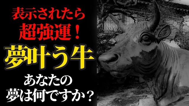 1月7日 一粒万倍日×上弦の月 開運日にリモート参拝！学問成就、合格祈願、縁結び、健康祈願【防府天満宮】パワースポット