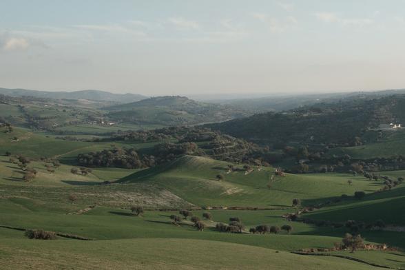 Rolling green hills of the Sicilian countryside