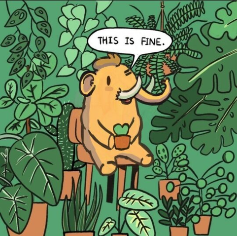 An illustration of the Mastodon social network mascot (a yellow/orange cartoon mastodon) sitting on a wooden stool among houseplants, holding a small potted plant or cup, with a speech bubble saying “This is fine”. The background features detailed botanical illustrations in shades of green.