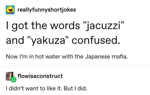 reallyfunnyshortjokes
I got the words "Jacuzzi" and "yakuza" confused. Now I'm in hot water with the Japanese mafia.
flowisaconstruct:
I didn't want to like it. But I did.
