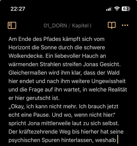 Screenshot einer Textnotiz mit Ausschnitt eines entstehenden Textes für „Reverie“ Kapitel I von Dorn.