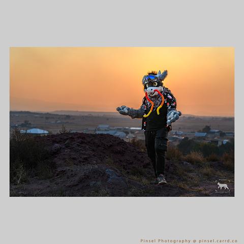 Nahalo being backlit by the Arizona evening sun.
