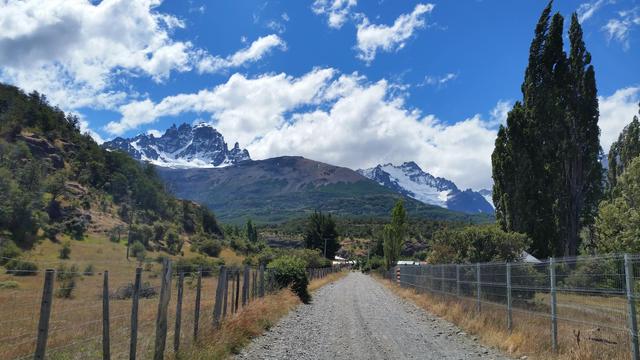 A photograph of a mountain scene. In the background is cerro castillo, a jagged mountain with glaciers visible. In the foreground is a gravel road lined with a fence and a tall tree.