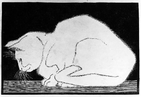Woodcut image in black and white of a white cat sitting on a wooden beam or table, against a black background. The cat is facing left and looks relaxed and content, possibly snoozing. Its feet are tucked in, its head lowered, its tail drawn in along its body.