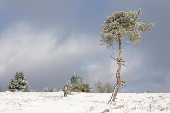 Beschneite Fläche nimmt ca.1/4 des Bildes unten ein, dahinter ein graublauer Himmel. Auf der Fläche links ein kleiner Baum, in der Mitte der Astenturm und rechts eine hochaufragende Kiefer, die fast die gesamte Bildhöhe einnimmt und daher trotz Randständigkeit dominiert.