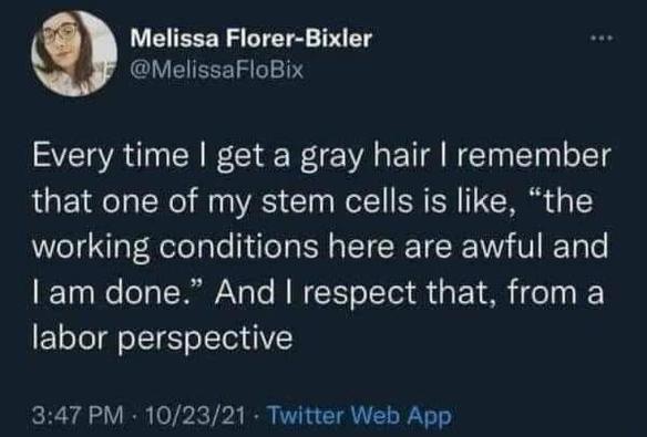 Melissa Florer-Bixler @MelissaFloBix

Every time I get a gray hair I remember that one of my stem cells is like, “the working conditions here are awful and I am done.” And I respect that, from a labor perspective