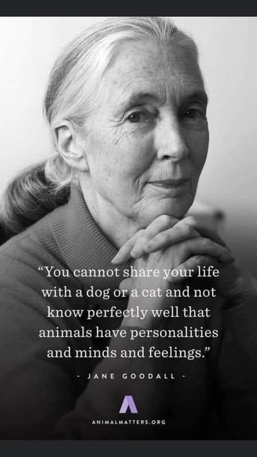 “You cannot share your life
with a dog or a cat and not
know perfectly well that
animals have personalities
and minds and feelings.”


-- Jane Goodall