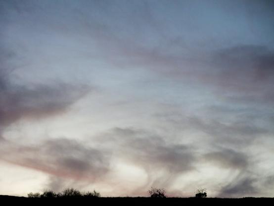 Looking up at wispy clouds in the sky just after the sun had set