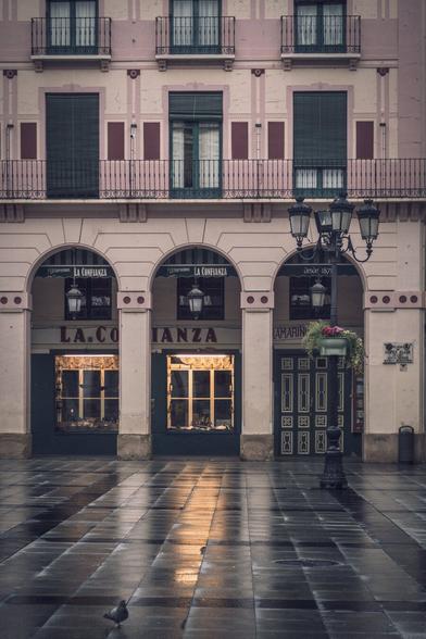 Vertical photography in which you can see a wet square with a lamppost in the right and a old facade in the background. In the foreground, you can see a pidgeon.