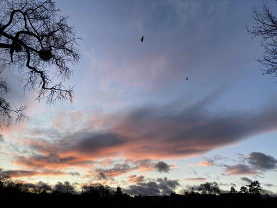 Blick auf den Sonnenuntergang über der Ostparkwiese, dramatische Wolken vom Wind zerzaust