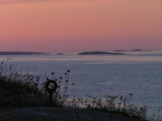 A tranquil coastal scene at sunset. The sky is a soft pinkish-purple. In the distance, several dark silhouettes of small islands are visible on the calm water. In the foreground, tall grasses and low-lying vegetation grow on a rocky outcrop. A dark, circular metal post is partially visible amidst the plants.