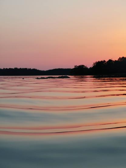 A calm body of water reflects a pink and orange sunset. A dark shoreline of trees is visible in the distance